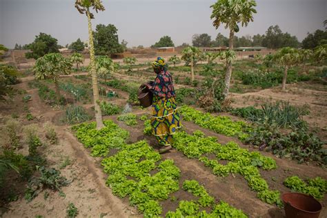 Building Climate Resilient Communities Wash Matters