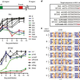 Sirnas Targeting The U Region Of The Hiv Ltr Promoter Have Limited