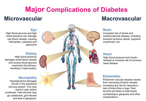 Can Diabetes Cause Brain Damage Diabeteswalls