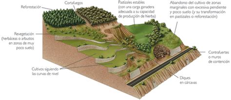 proyecto integrado 1ºbachA Riesgos asiociados a la erosión