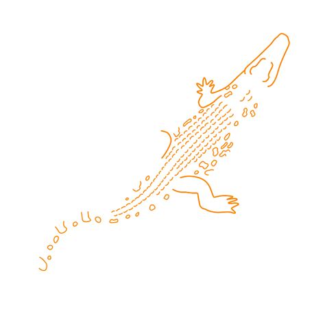 Saltwater Crocodile (Crocodylus porosus) Dimensions & Drawings | Dimensions.com