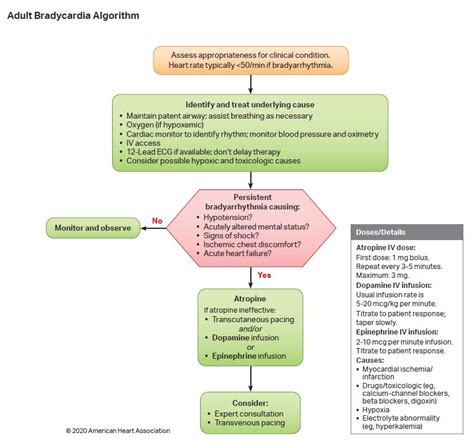 Sinus Bradycardia Acls Algorithm