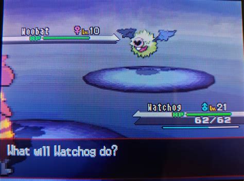 [Gen5] Shiny Woobat after ~5000 REs in Pokemon White. SBQ member #2 ...