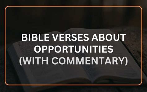 25 Bible Verses About Opportunities With Commentary Scripture Savvy