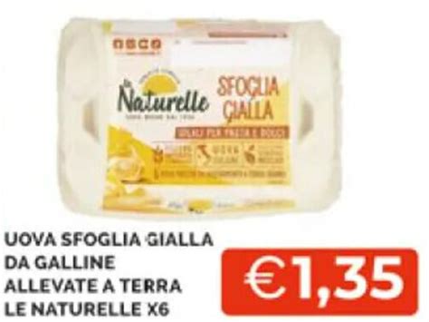 Uova Sfoglia Gialla Da Galline Allevate A Terra Le Naturale X 6 Offerta