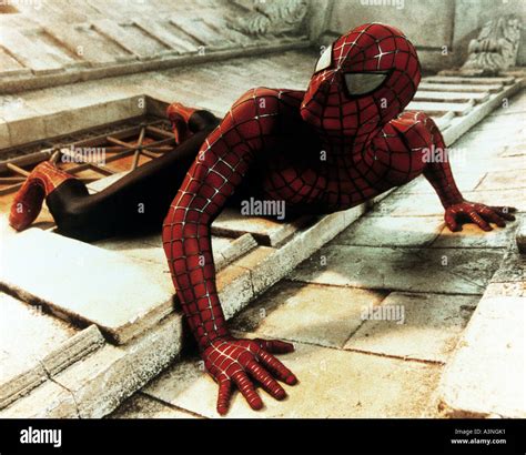 Spider Man Tobey Maguire Poster