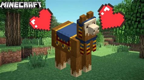 How To Tame Llama In Minecraft In Hindi Llama Tame In Minecraft Youtube