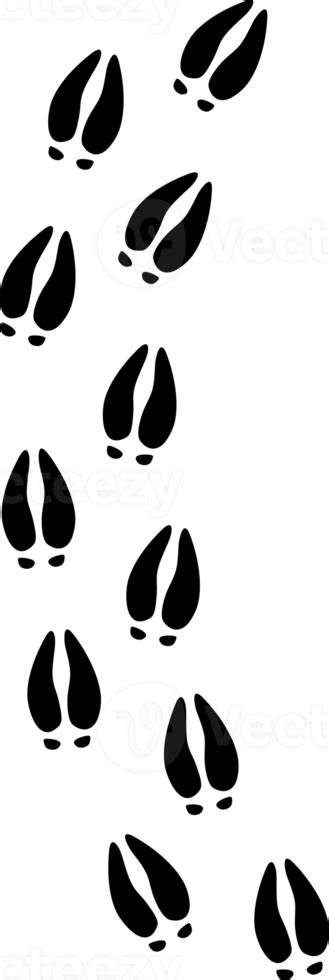 Deer Hoof Print Traces Png Illustration 8505797 Png