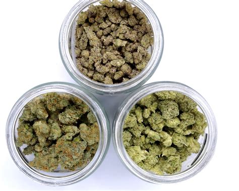 How To Decide Which Strains To Try