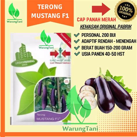 Jual Benih Terong Ungu 200 Seeds Cap Panah Merah Shopee Indonesia