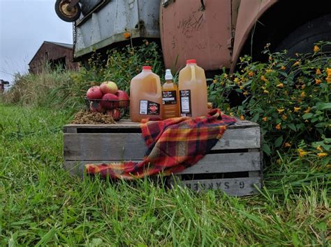 26 Pick Your Own Apple Orchards Near Cleveland To Check Out This Fall