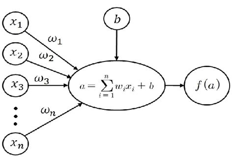 Structure And Mathematical Modeling Of The Node In Neural Network