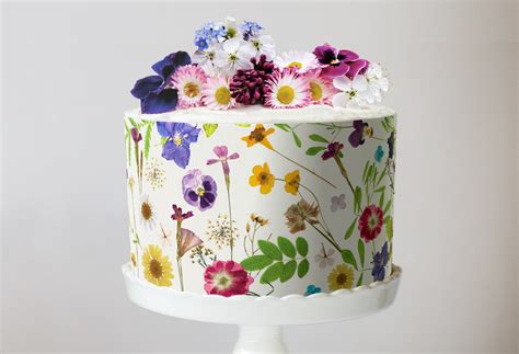 Pressed Flower Cake Ubicaciondepersonas Cdmx Gob Mx