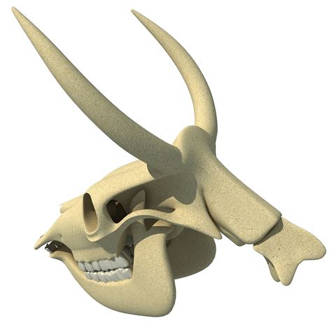 3d animal skull model