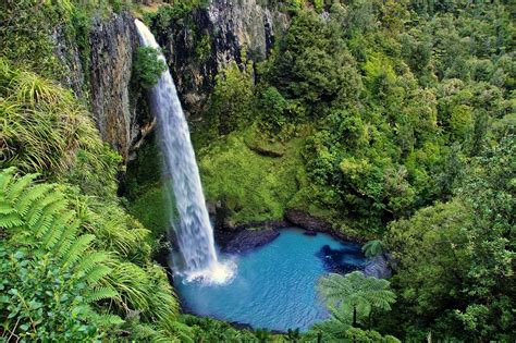 Mergulhe em Águas Termais Girassol Brasil Viagens e Turismo