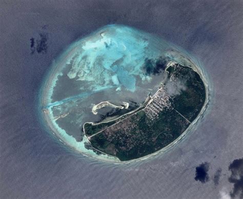 Thousands of Trees Are Disappearing From Islands in the Maldives - Atlas Obscura