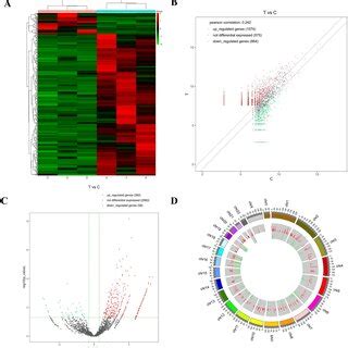 Expression Profiles Of Circrna A Hierarchical Clustering Of Circrnas