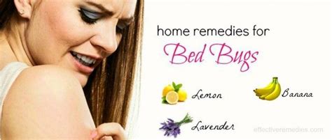 27 Natural Home Remedies For Bed Bugs Bites Removal On Body In 2020 Bed Bug Bites Bed Bugs