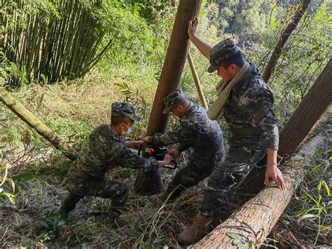 战山火 护家园！记者现场直击：民间救援力量助力击退重庆缙云山山火火情凤凰网