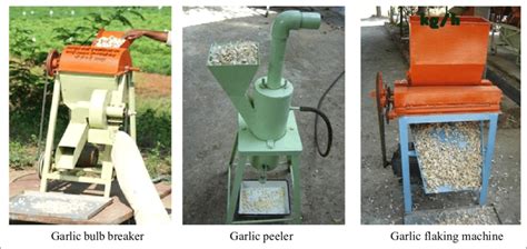 Different Equipment for Garlic Processing | Download Scientific Diagram