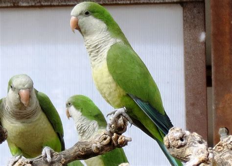 berta  oasis sanctuary