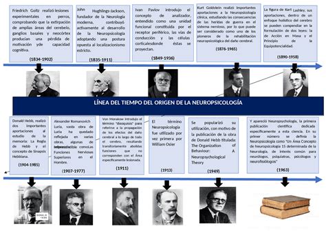 Linea De Tiempo Historia De La Neurociencia Youtube Images