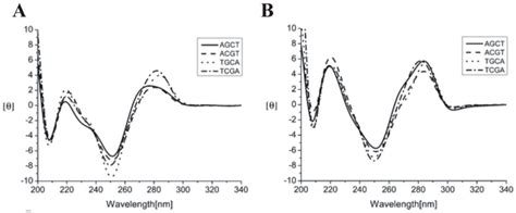 A Cd Spectra Of Hairpin Dna Duplexes Including Agct Acgt Tgca And