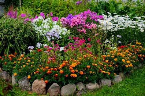 Perennials Made Simple Guide Walter S Greenhouses And Garden Centre