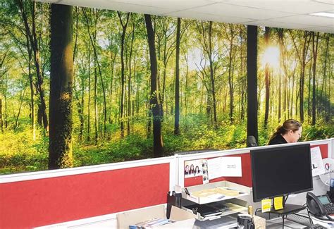 Bringing nature to your work space: the transformative power of Wall ...