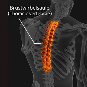 Brustwirbelsäule Gründe für Blockade Schmerzen in BWS Magen