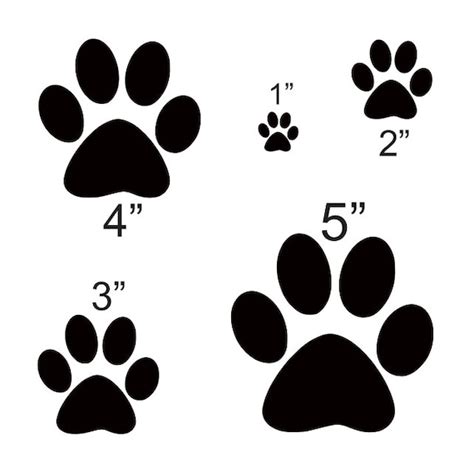 Dog Paw Stencil With 5 Total Sizes 1 2 3