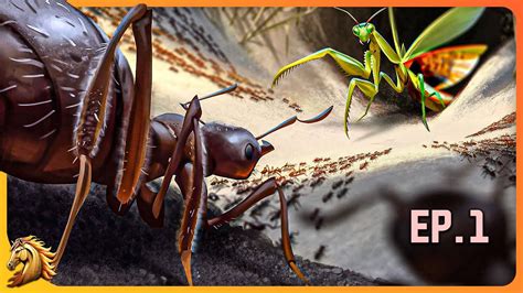 Ma Nouvelle Colonie De Fourmis Dans Le Formicarium Empires Of The