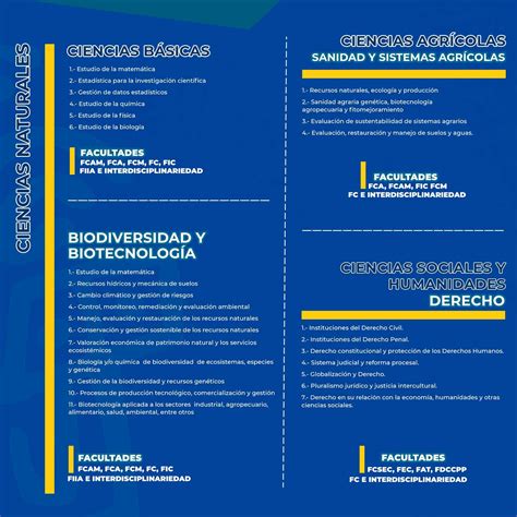 Lineas Y Sublineas De Investigaci N De La Unasam Vicerectorado De