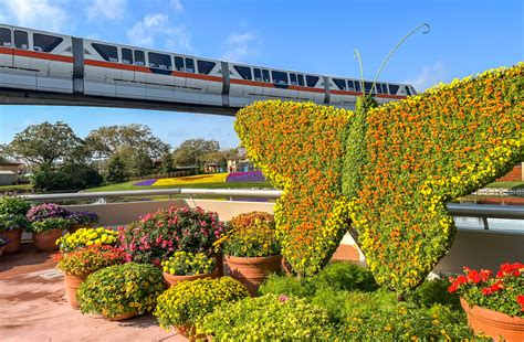 New Orange Bird Munchling And Sipper Coming To Epcot Flower