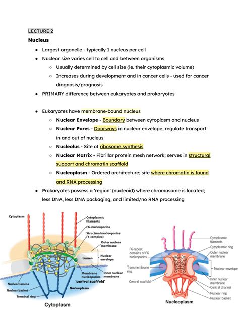 Solution Mcb Final Notes Studypool