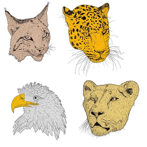 Premium Vector Set Sketch Silhouette Sketch Eagle Lynx Leopard