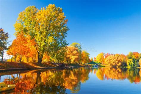 Der Bunte Hintergrund Helle Bunte Landschaftsgelbe Bume Im Herbstpark