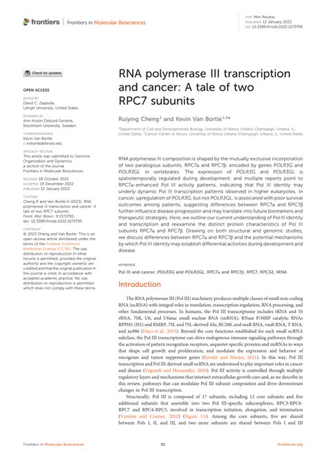 Pdf Rna Polymerase Iii Transcription And Cancer A Tale Of Two Rpc7 Subunits