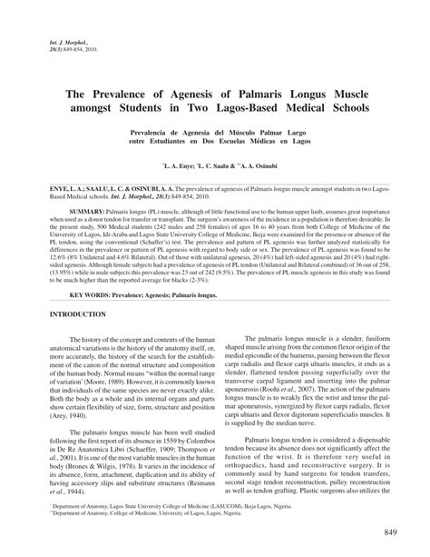 PDF The Prevalence Of Agenesis Of Palmaris Longus Muscle Amongst