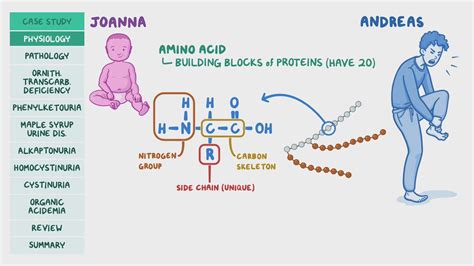 Disorders Of Amino Acid Metabolism Pathology Review Osmosis