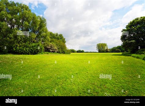 Green nature landscape Stock Photo - Alamy