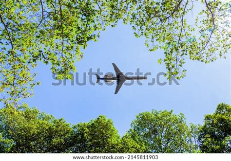 Plane Flying Over Forest Treetops Stock Photo Shutterstock