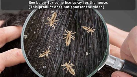 How To Remove Head Lice From Your House Youtube