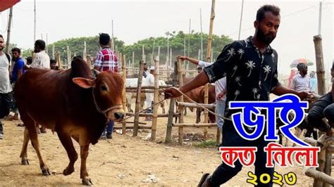 Bhai Koto Nilo Paragram Hozrotpur Gorur Haat 2023 Part 3 Cow