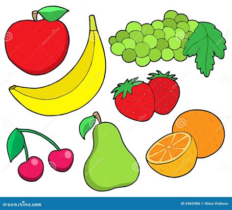 Fruit Collection Stock Vector Illustration Of Color