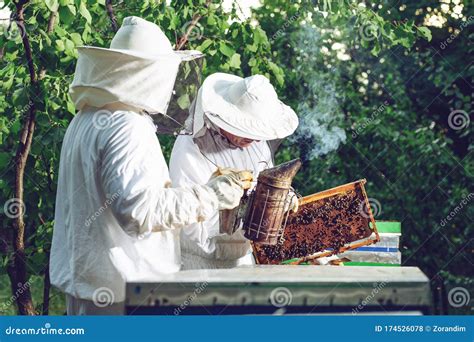 Beekeeper Smoker Smokes White Smoke. Beekeeper Work at the Apiary ...