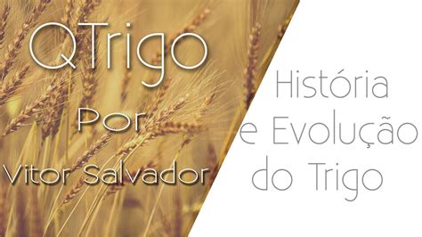 História e Evolução do trigo YouTube