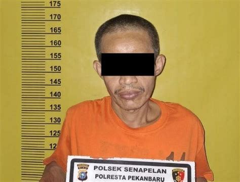 Baru Keluar Dari Penjara Residivis Di Pekanbaru Kembali Masuk Bui