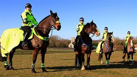 Special Officers On Horseback To Ride For Norfolk Police Bbc News