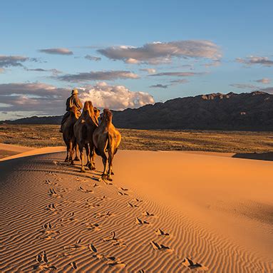 Gobi Desert Mongolia